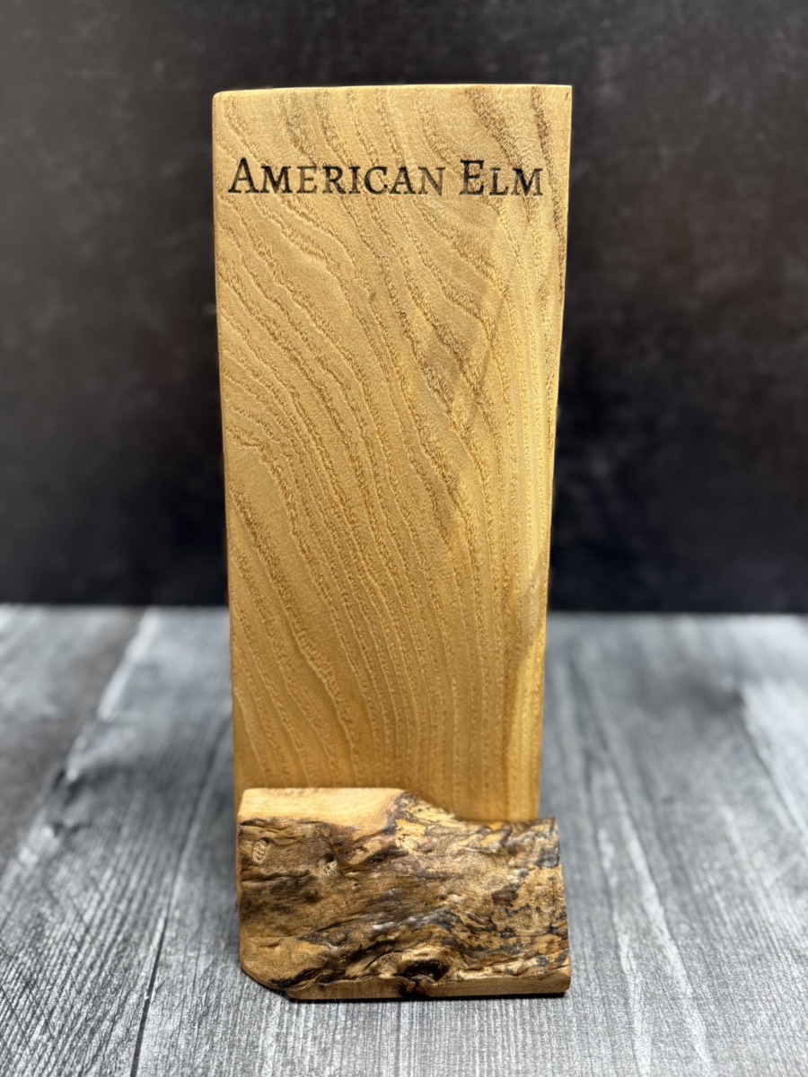 American Elm