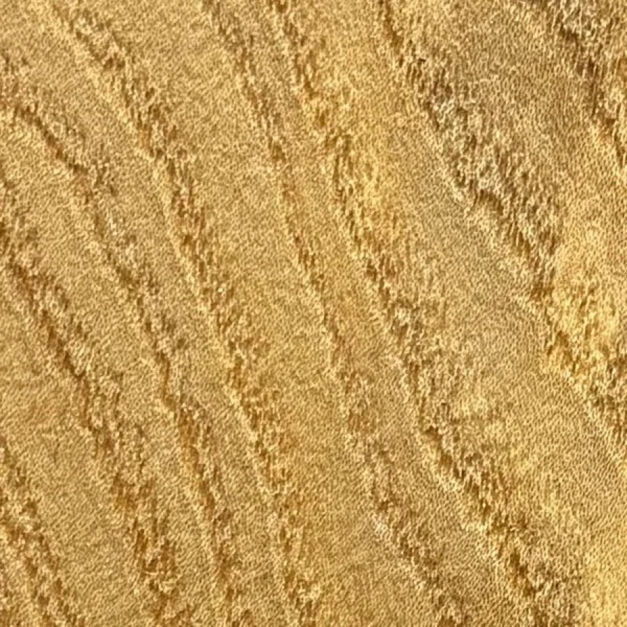 Heartwood color detail of American Elm (Ulmus americana)