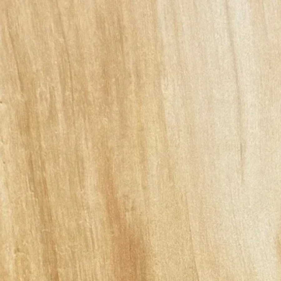 Heartwood color detail of Box Elder (Acer negundo)