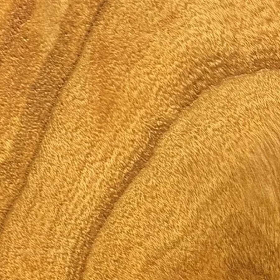 Heartwood color detail of Cherry (Prunus serotina)