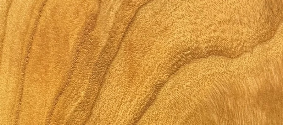 Detail of Cherry grain — figured wood texture, photographed at Raw Heartwood