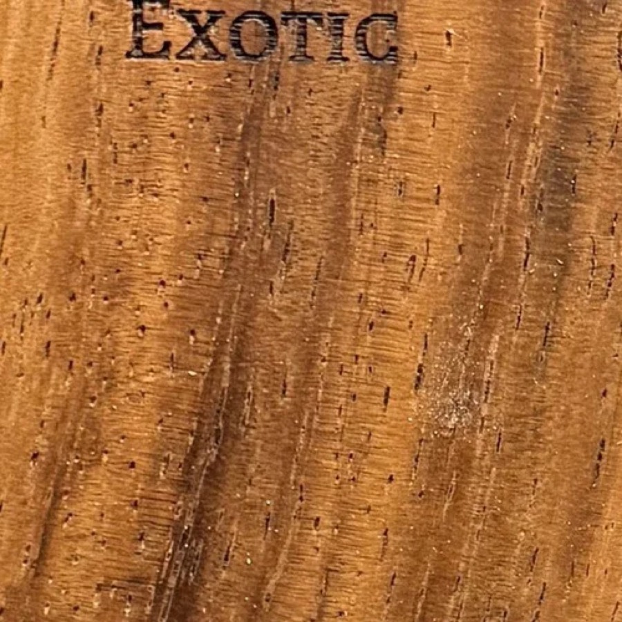 Heartwood color detail of Chocolate Albizia (Falcataria moluccana)