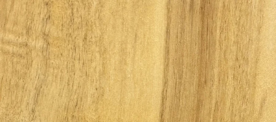 Detail of Cypress grain — figured wood texture, photographed at Raw Heartwood