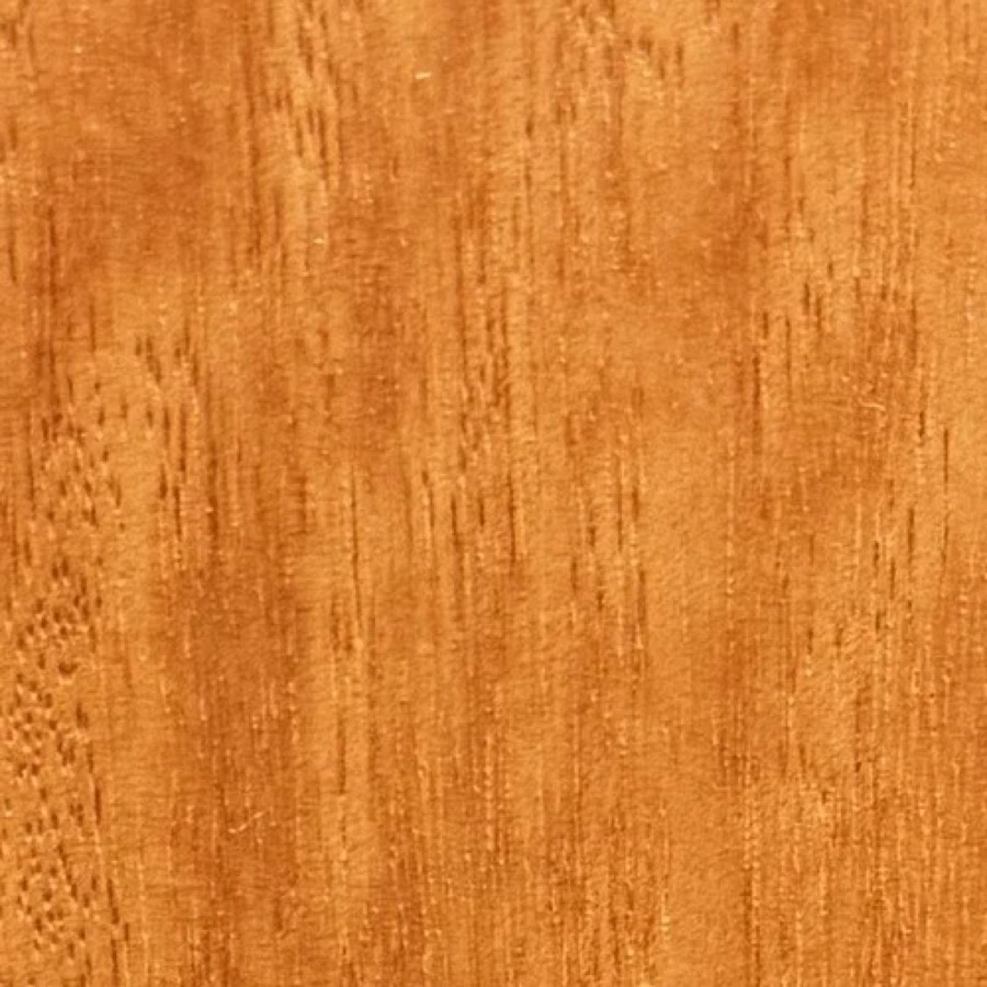 Heartwood color detail of Eucalyptus (Eucalyptus globulus)
