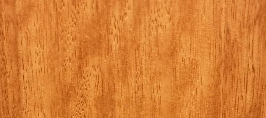Detail of Eucalyptus grain — figured wood texture, photographed at Raw Heartwood