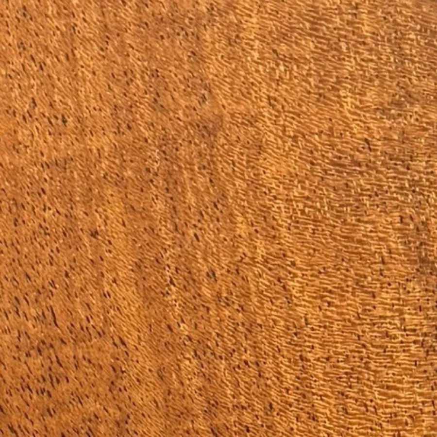 Heartwood color detail of Kiawe (Prosopis pallida)