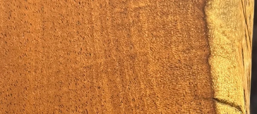 Detail of Kiawe grain — figured wood texture, photographed at Raw Heartwood