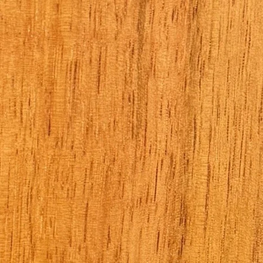 Heartwood color detail of Lychee (Litchi chinensis)
