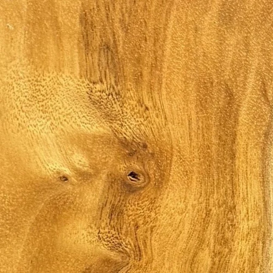 Heartwood color detail of Mappa Burl (Populus alba (also P. nigra))