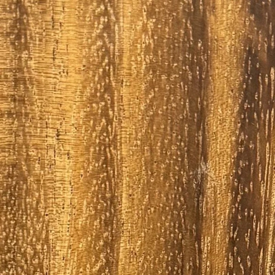 Heartwood color detail of Monkeypod (Samanea saman)