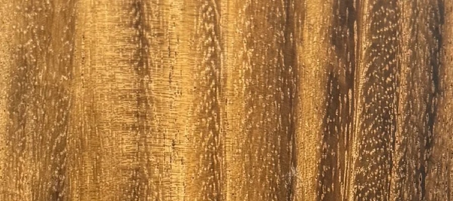 Detail of Monkeypod grain — figured wood texture, photographed at Raw Heartwood