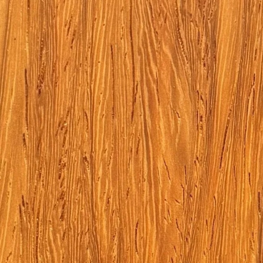 Heartwood color detail of Narra (Pterocarpus indicus)