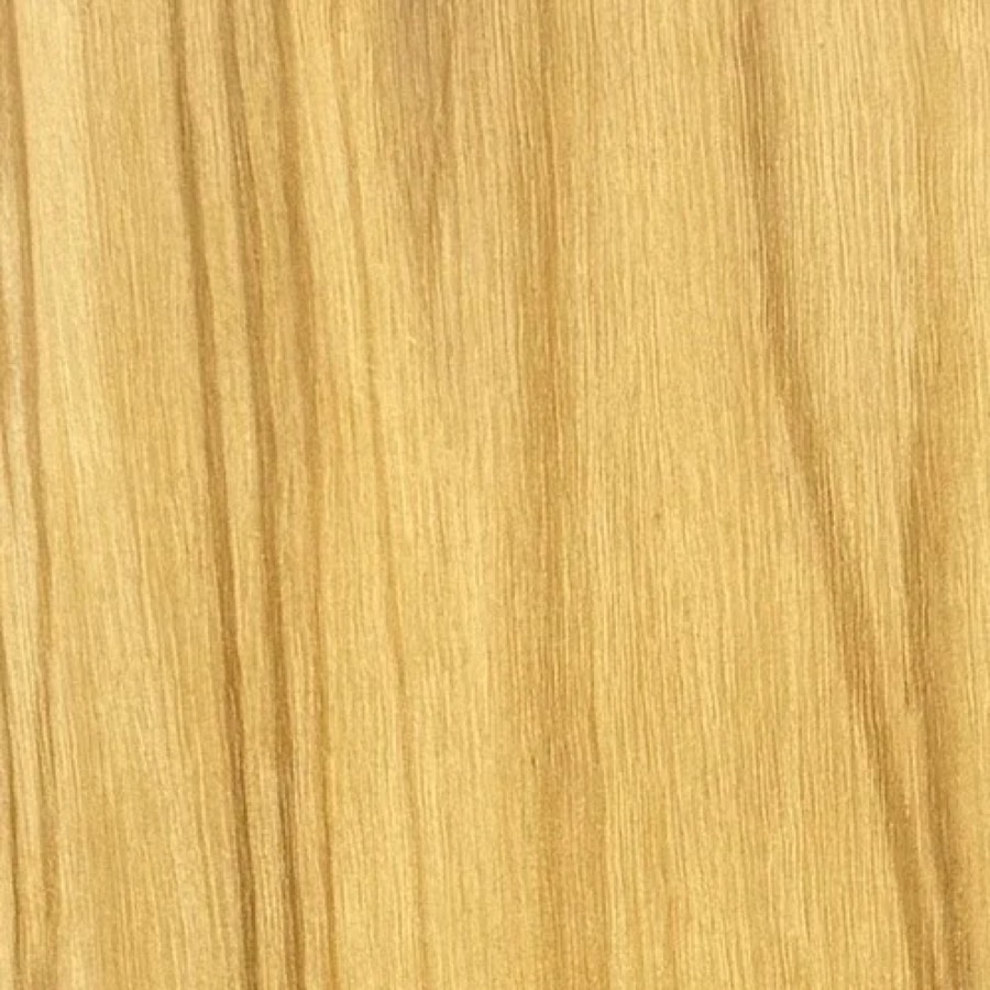 Heartwood color detail of Olive (Olea europaea)