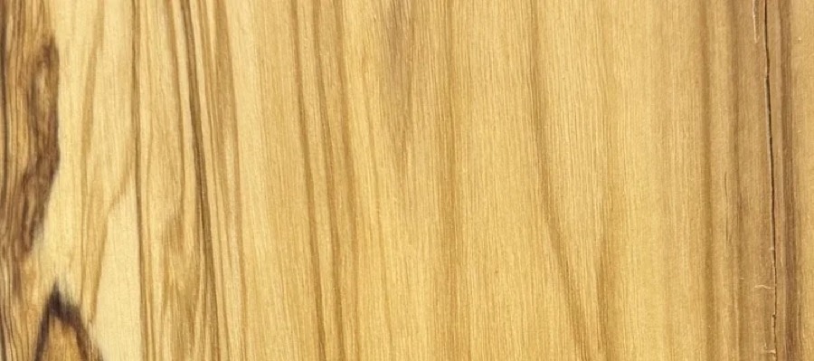 Detail of Olive grain — figured wood texture, photographed at Raw Heartwood