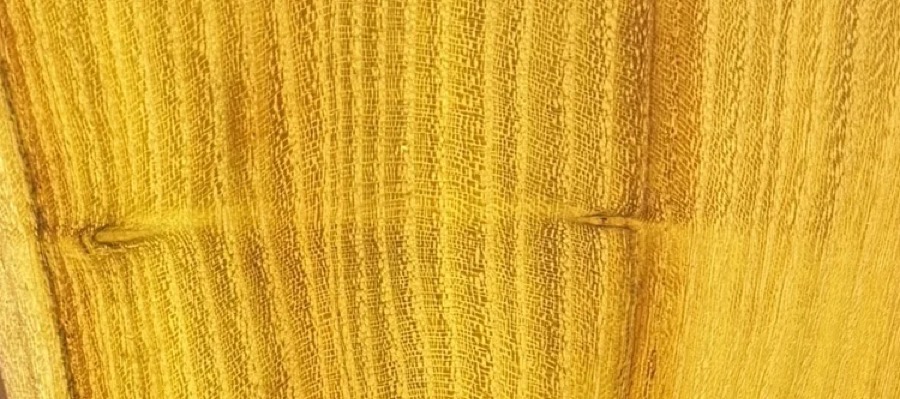 Detail of Osage Orange grain — figured wood texture, photographed at Raw Heartwood