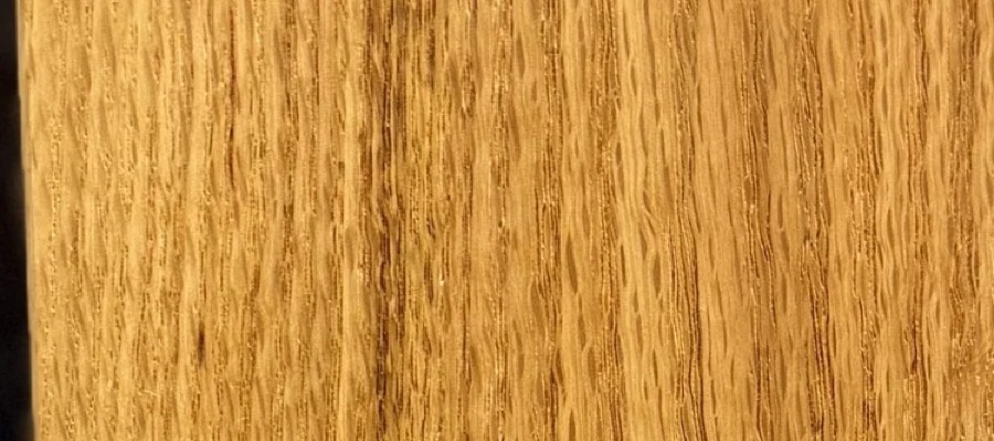 Detail of Red Oak grain — figured wood texture, photographed at Raw Heartwood