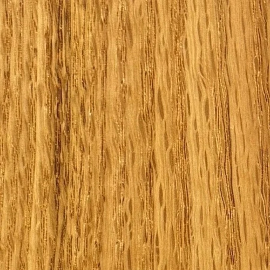 Heartwood color detail of Red Oak (Quercus rubra)