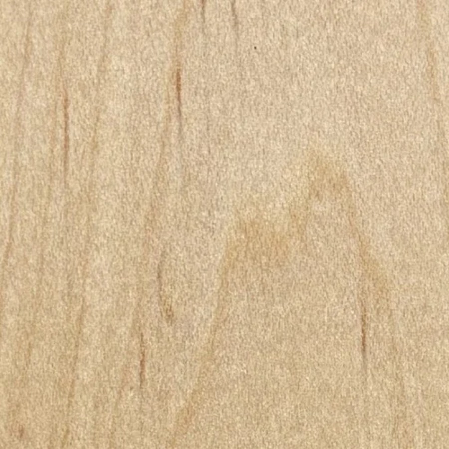 Heartwood color detail of Soft Maple (Acer rubrum)