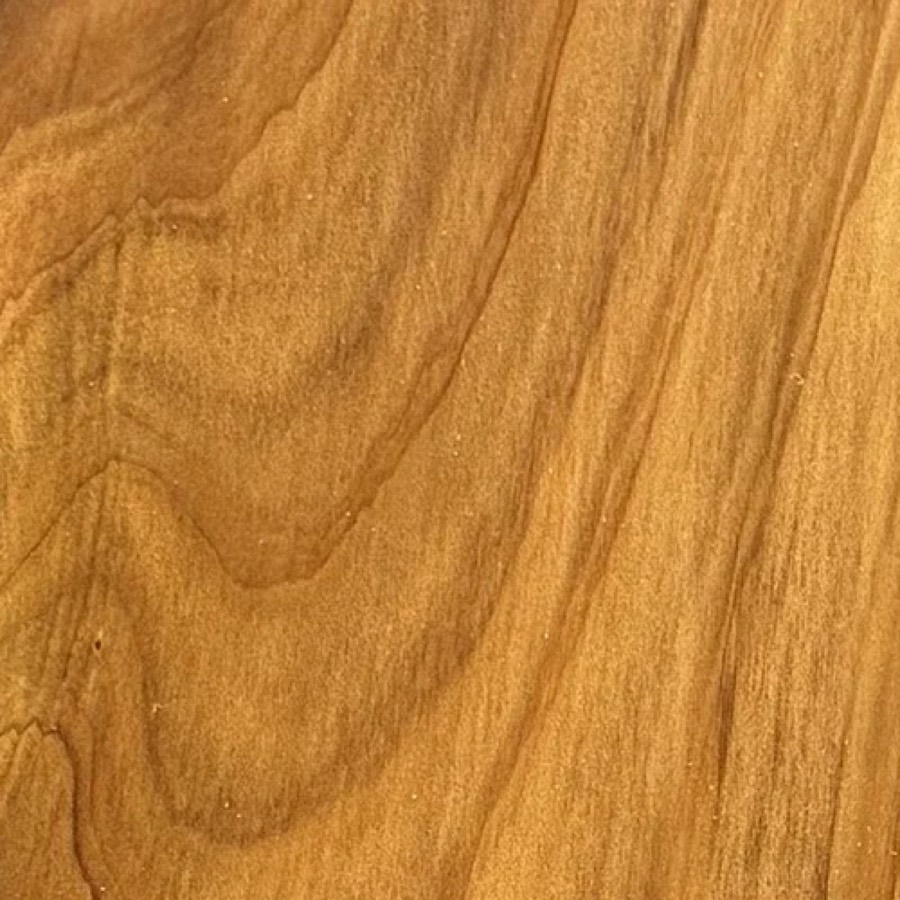 Heartwood color detail of Sugi (Cryptomeria japonica)