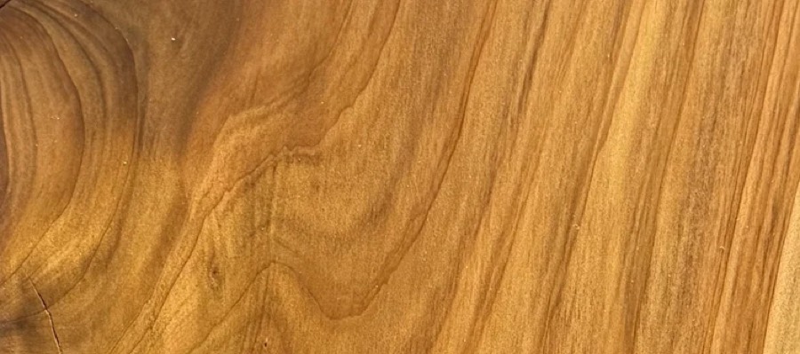 Detail of Sugi grain — figured wood texture, photographed at Raw Heartwood