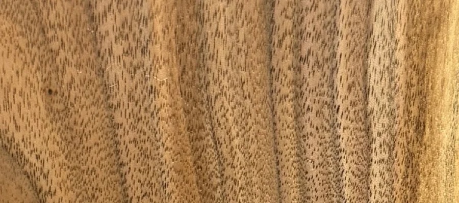 Detail of Walnut grain — figured wood texture, photographed at Raw Heartwood