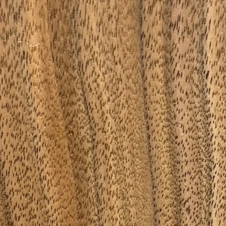 Heartwood color detail of Walnut (Juglans nigra)