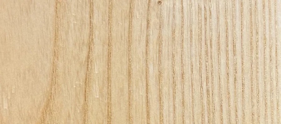 Detail of White Ash grain — figured wood texture, photographed at Raw Heartwood
